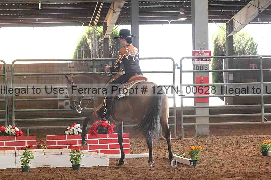 Proof 12yn_00628