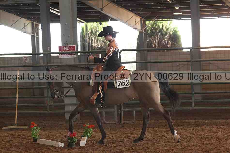 Proof 12yn_00629