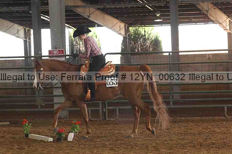 Proof 12yn_00632