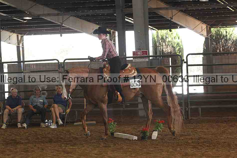 Proof 12yn_00633