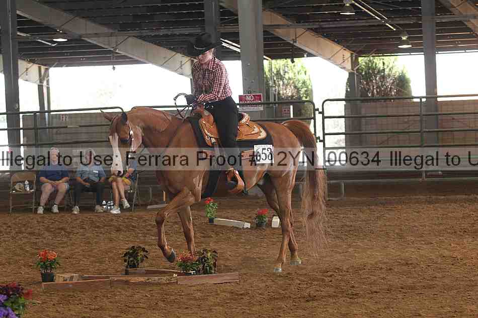 Proof 12yn_00634