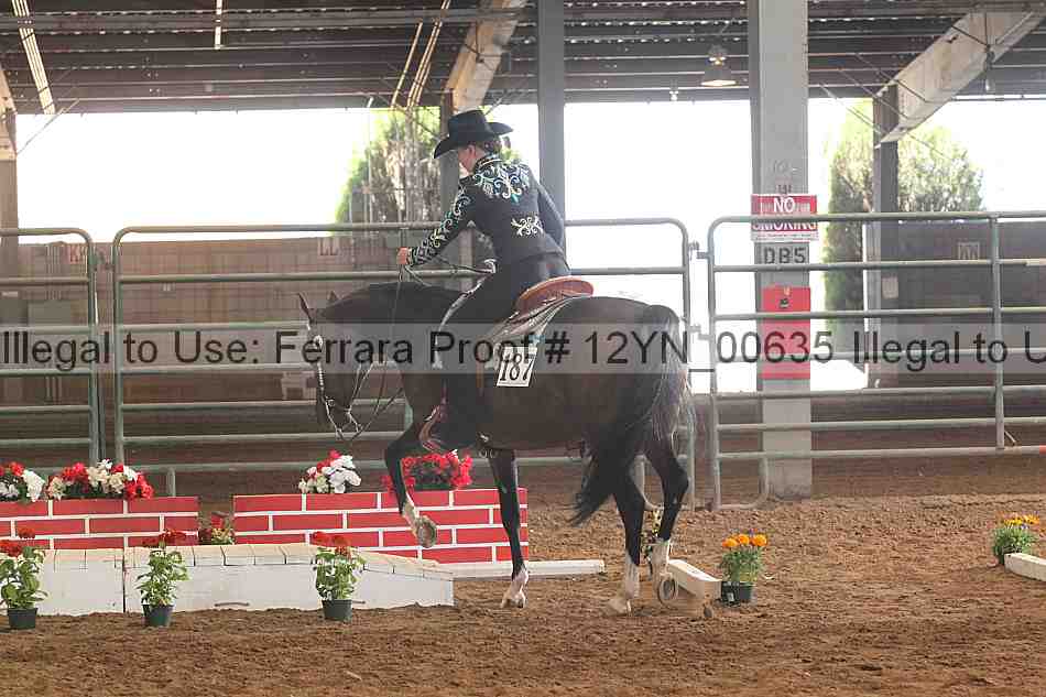 Proof 12yn_00635