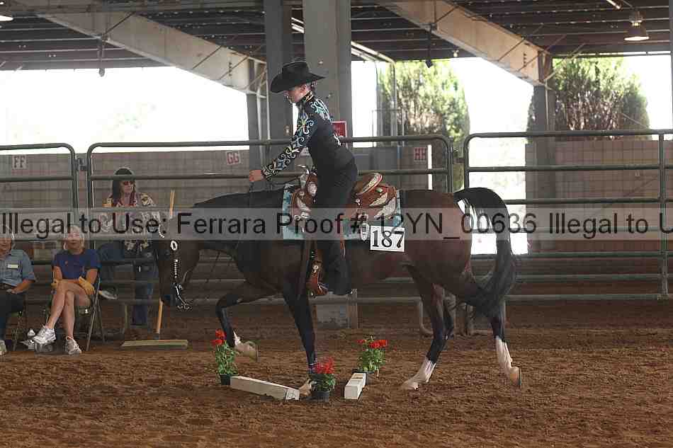 Proof 12yn_00636