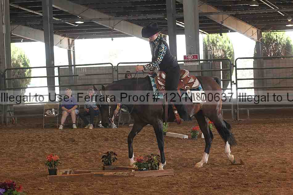 Proof 12yn_00637