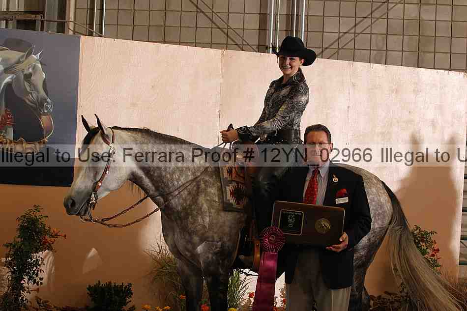 Proof 12yn_02966
