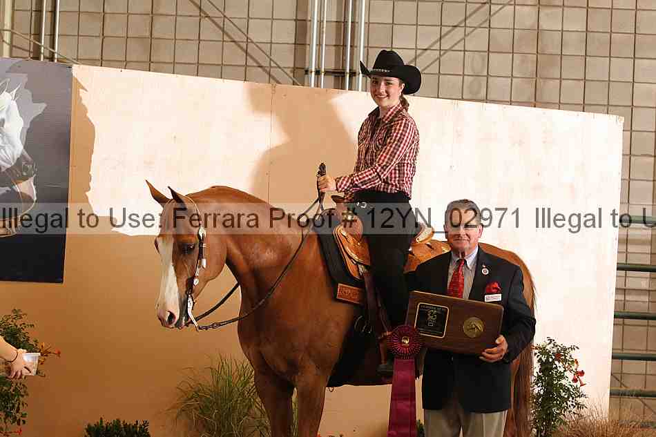 Proof 12yn_02971