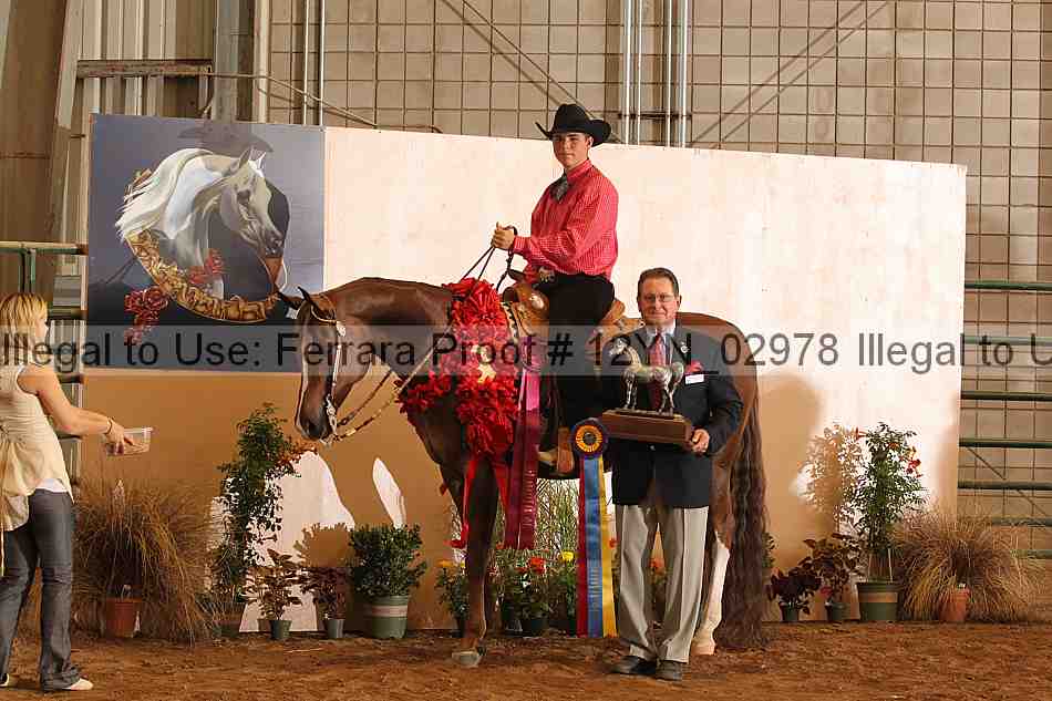 Proof 12yn_02978
