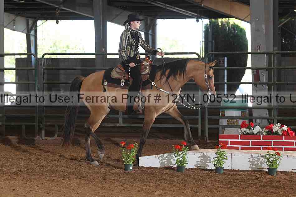 Proof 12yn_00532