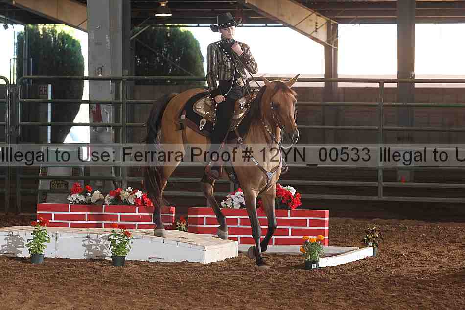 Proof 12yn_00533