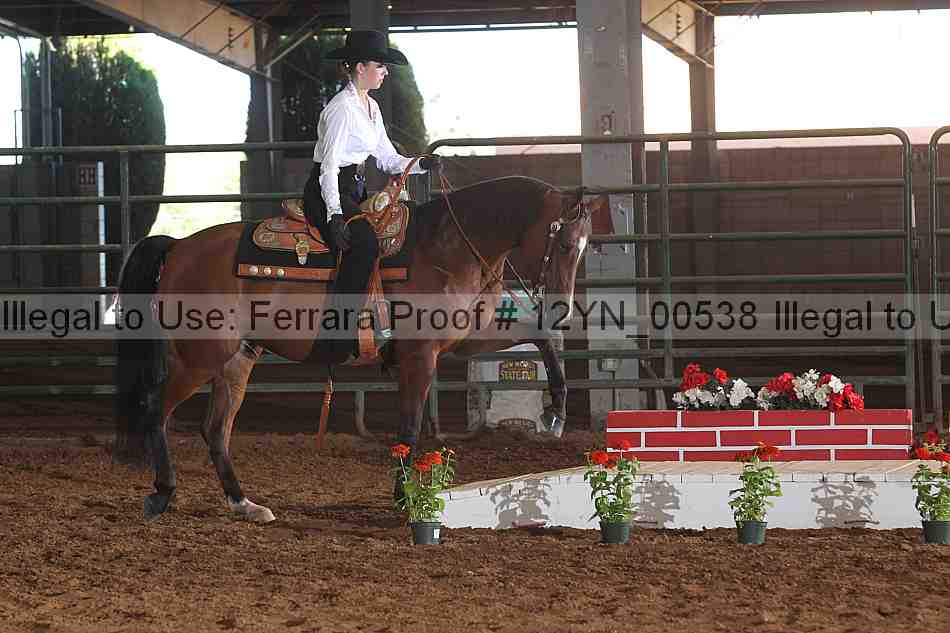 Proof 12yn_00538