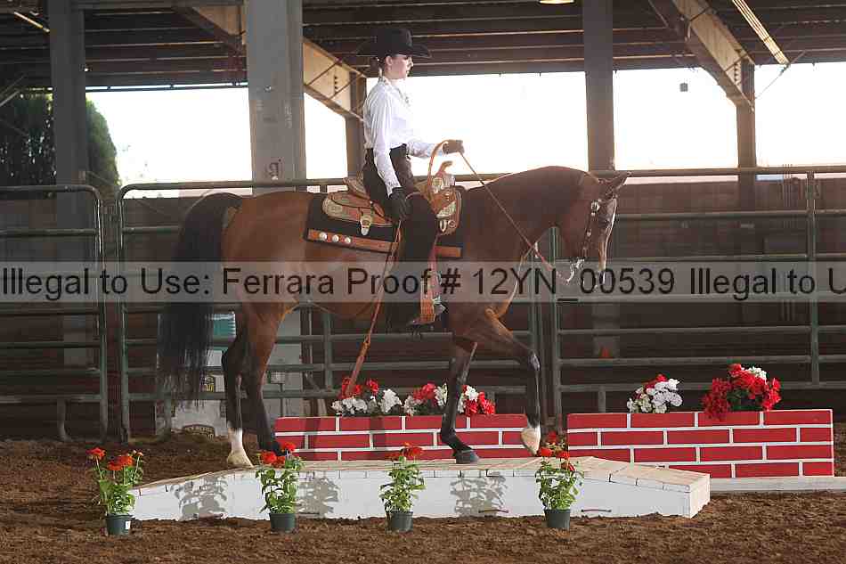 Proof 12yn_00539