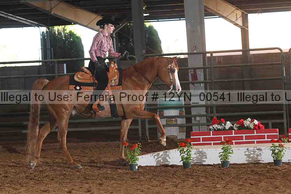 Proof 12yn_00541