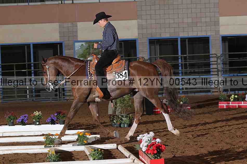 Proof 12yn_00543