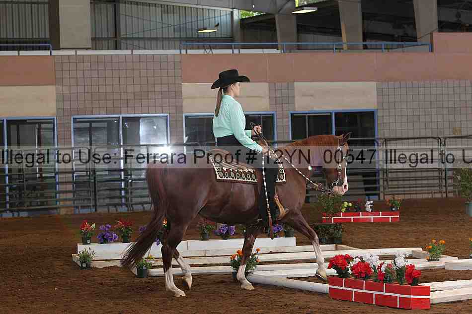 Proof 12yn_00547