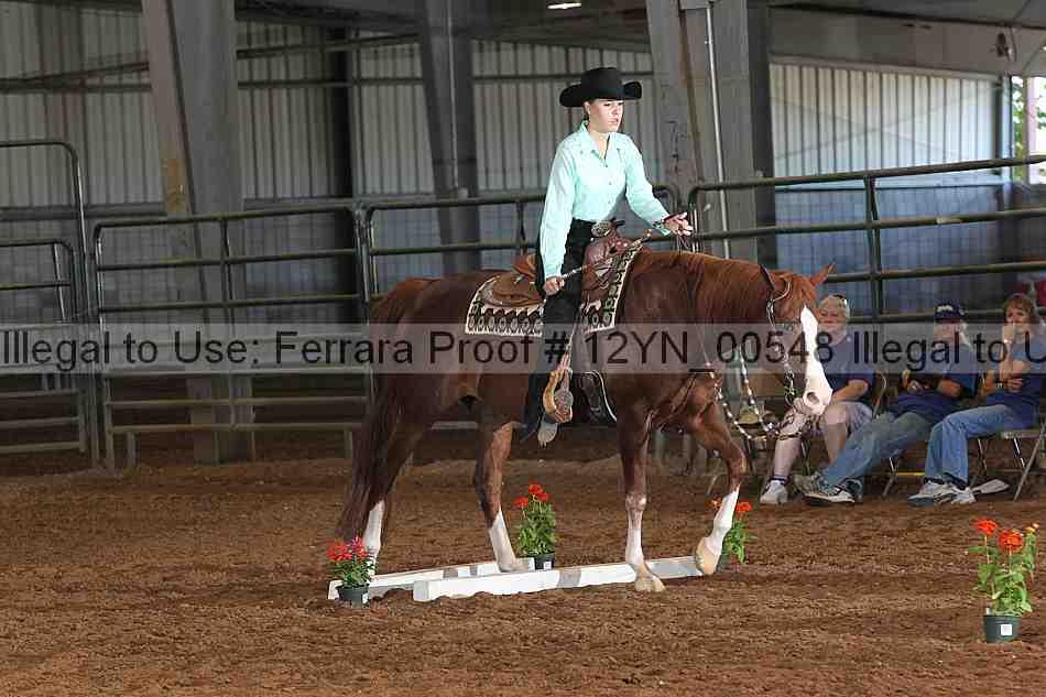 Proof 12yn_00548