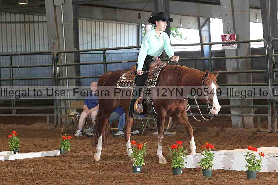 Proof 12yn_00549