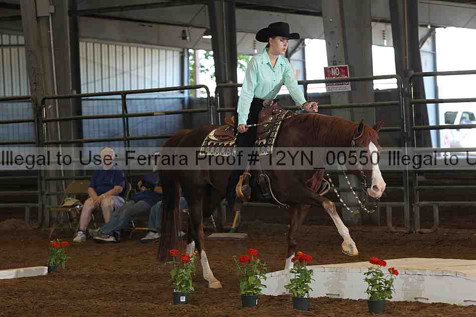 Proof 12yn_00550