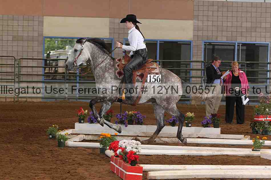 Proof 12yn_00557
