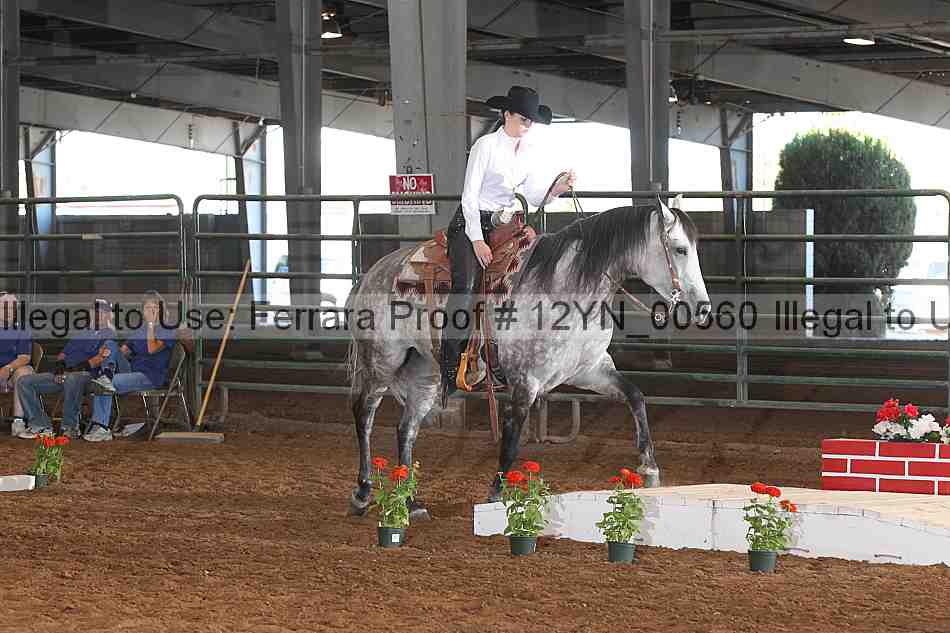 Proof 12yn_00560