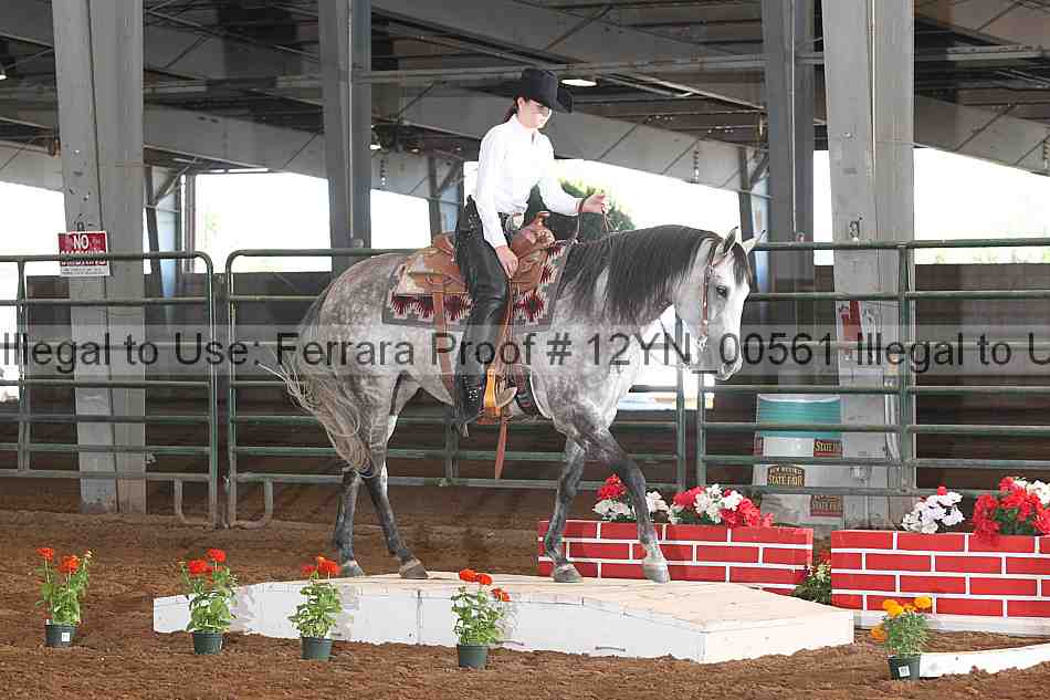 Proof 12yn_00561