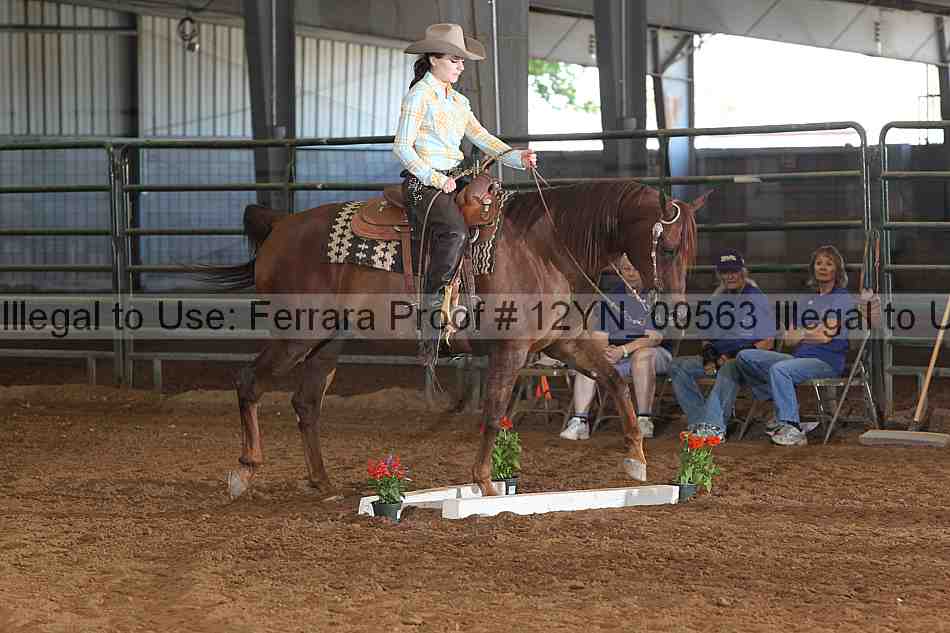 Proof 12yn_00563