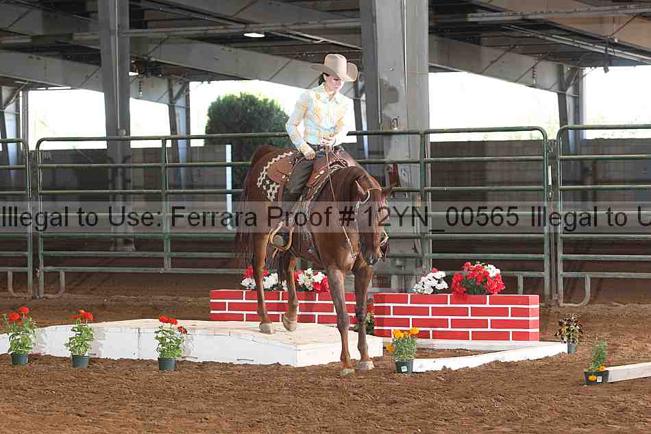 Proof 12yn_00565