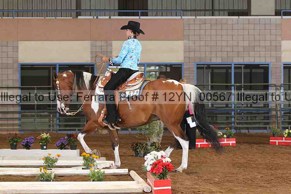 Proof 12yn_00567