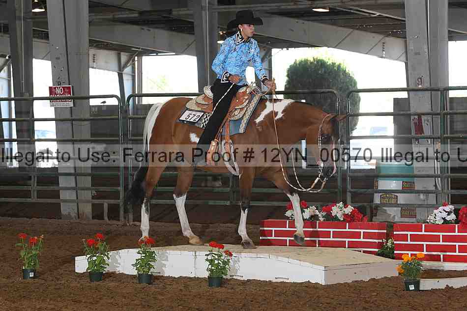 Proof 12yn_00570