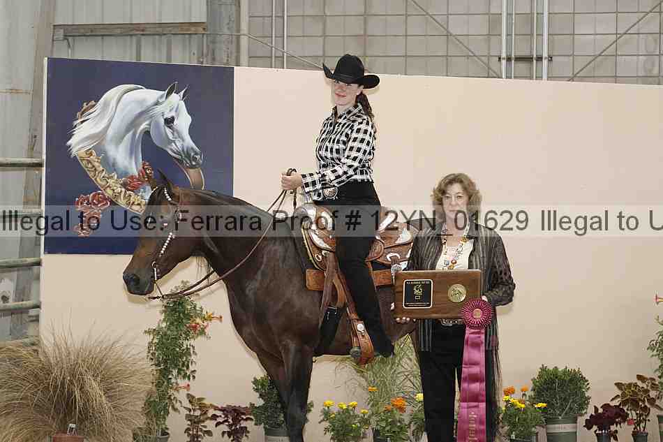 Proof 12yn_01629