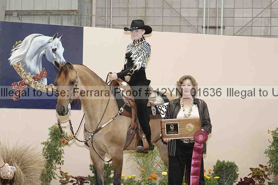 Proof 12yn_01636