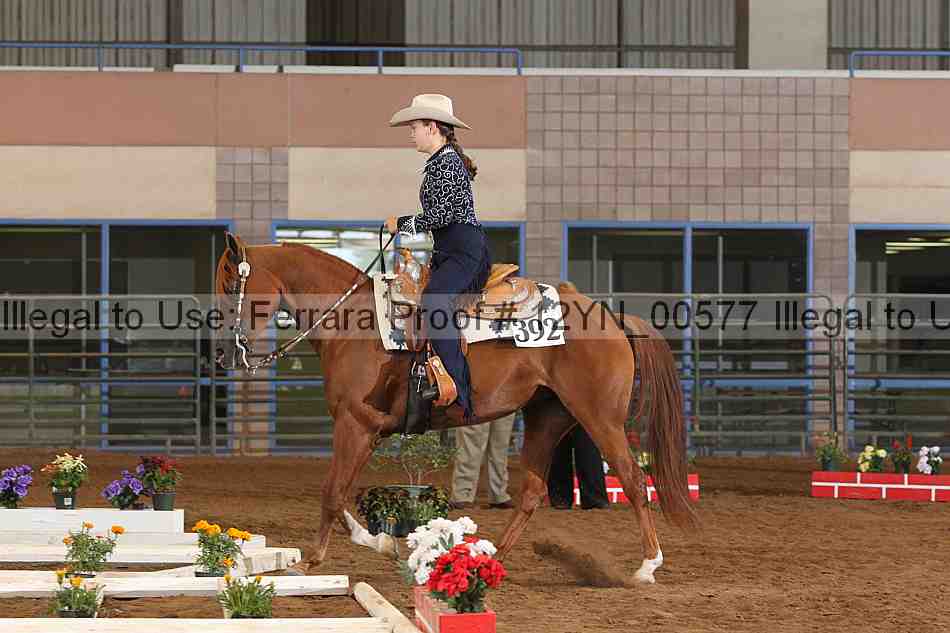 Proof 12yn_00577