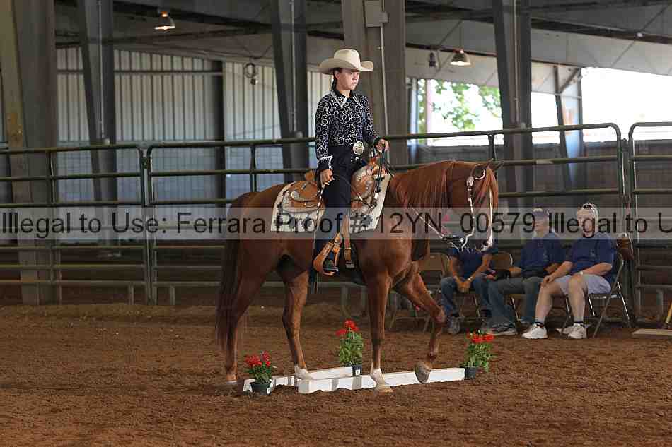 Proof 12yn_00579