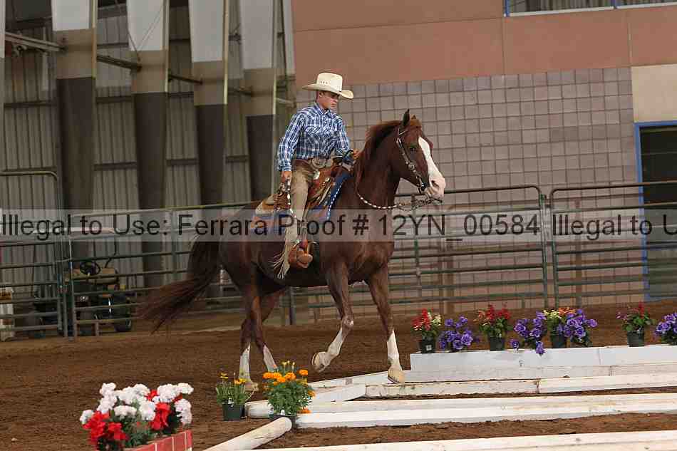 Proof 12yn_00584
