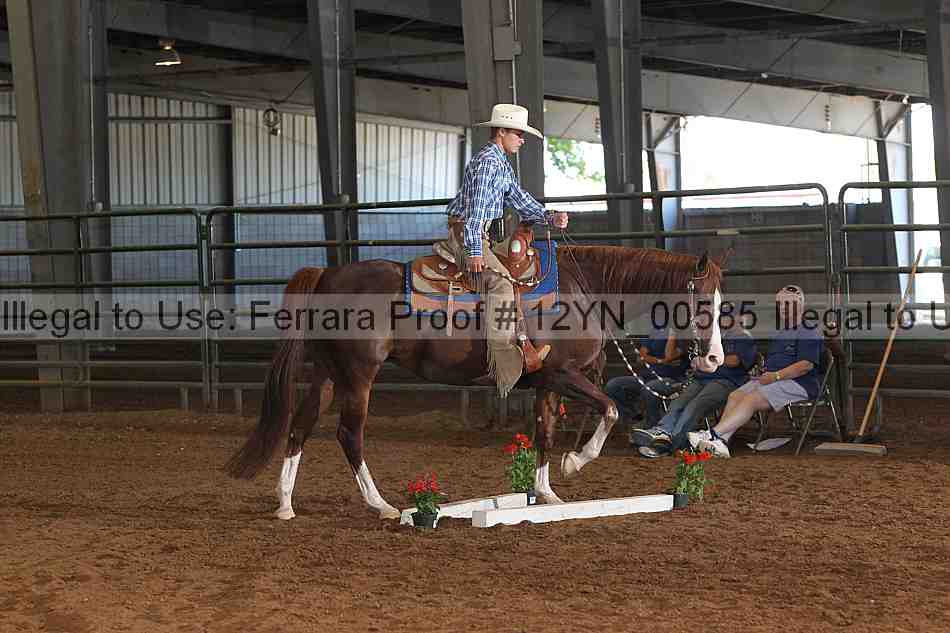 Proof 12yn_00585