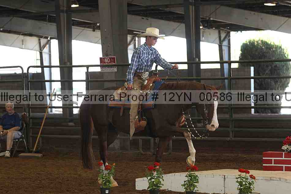 Proof 12yn_00586