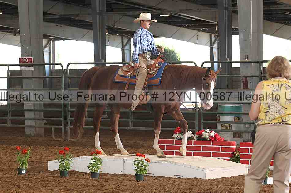 Proof 12yn_00587