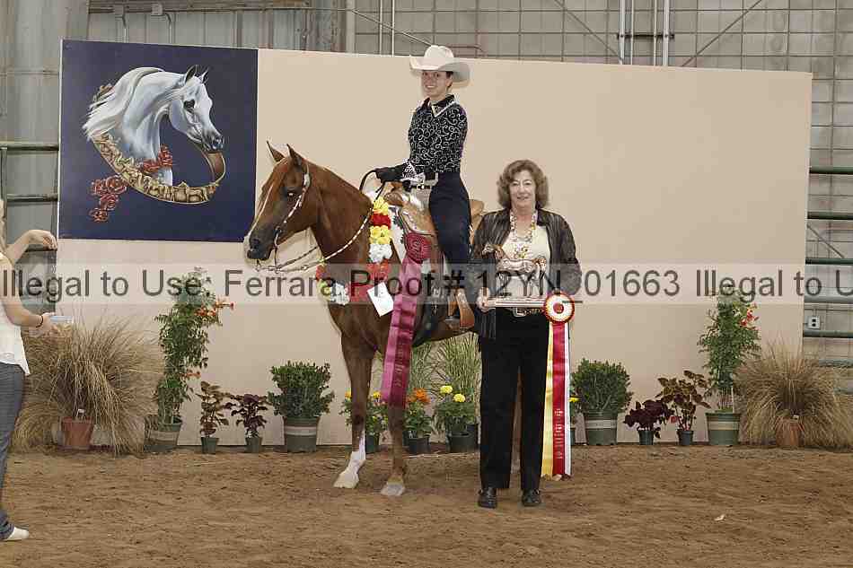 Proof 12yn_01663