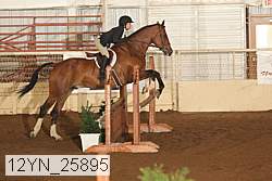 12yn_25895 proof