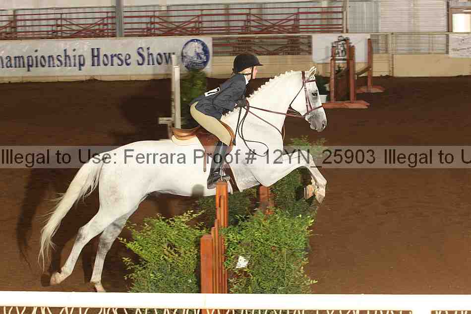 Proof 12yn_25903