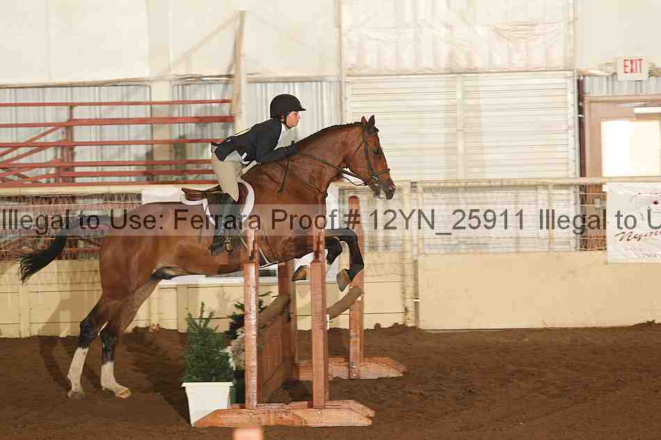 Proof 12yn_25911