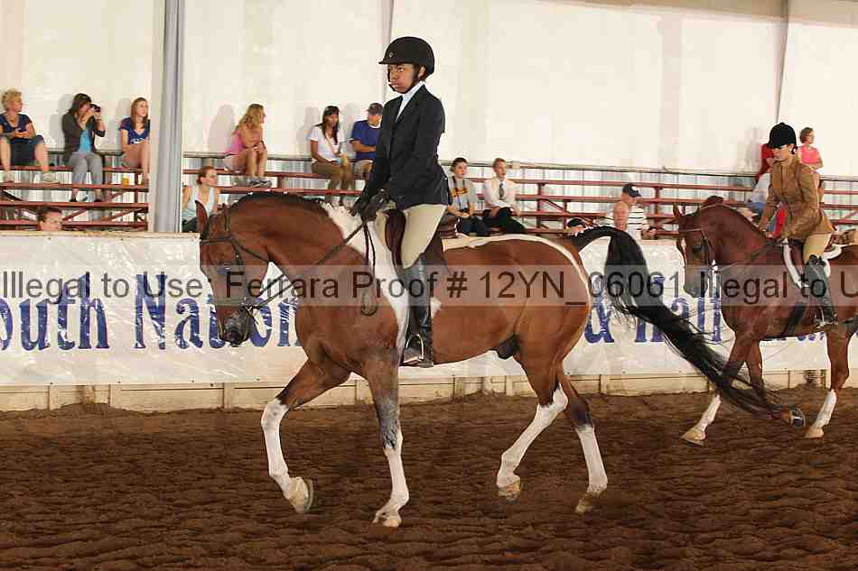 Proof 12yn_06061