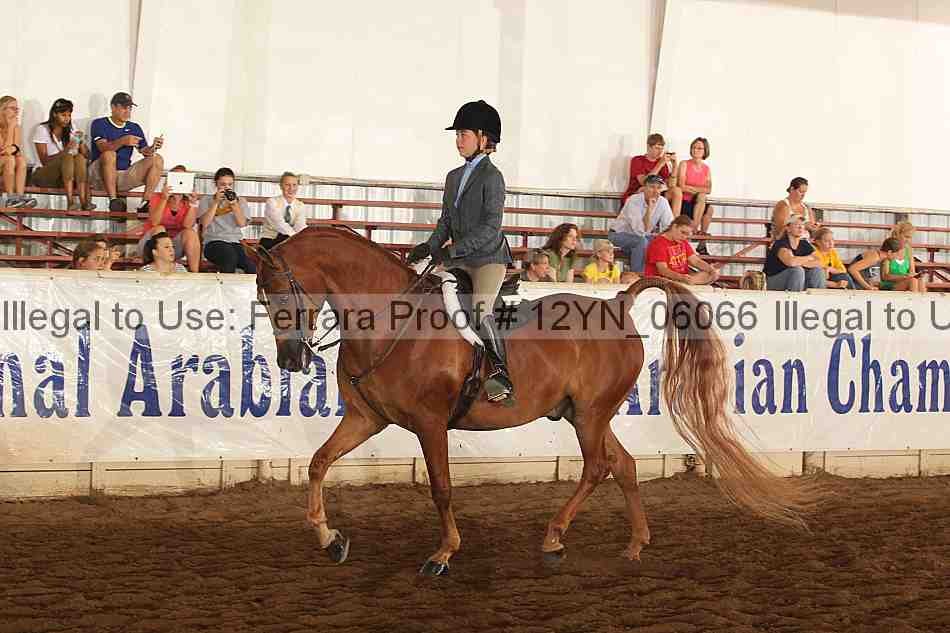 Proof 12yn_06066