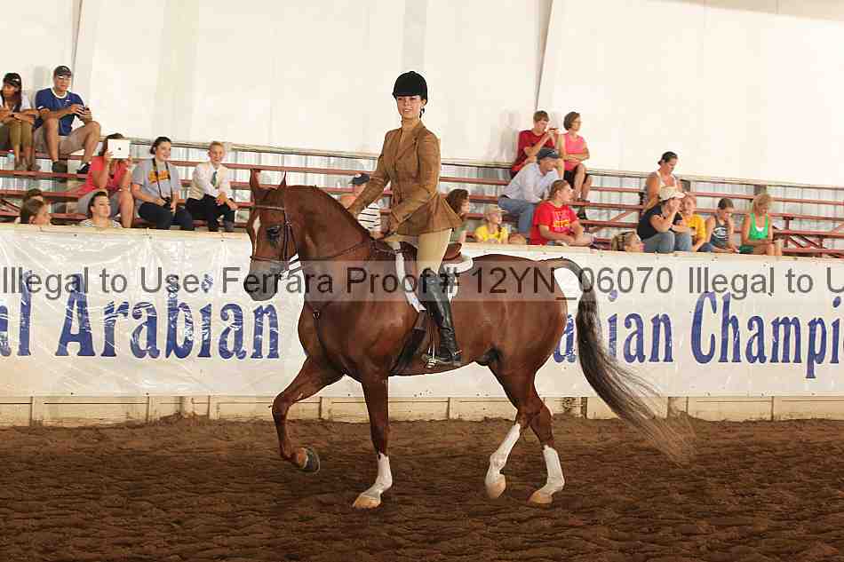 Proof 12yn_06070