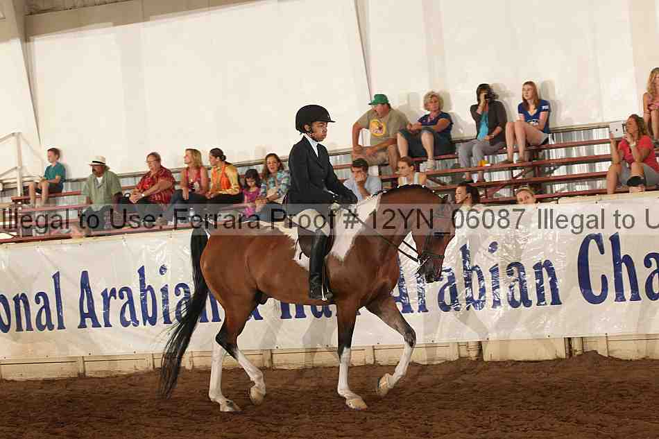Proof 12yn_06087