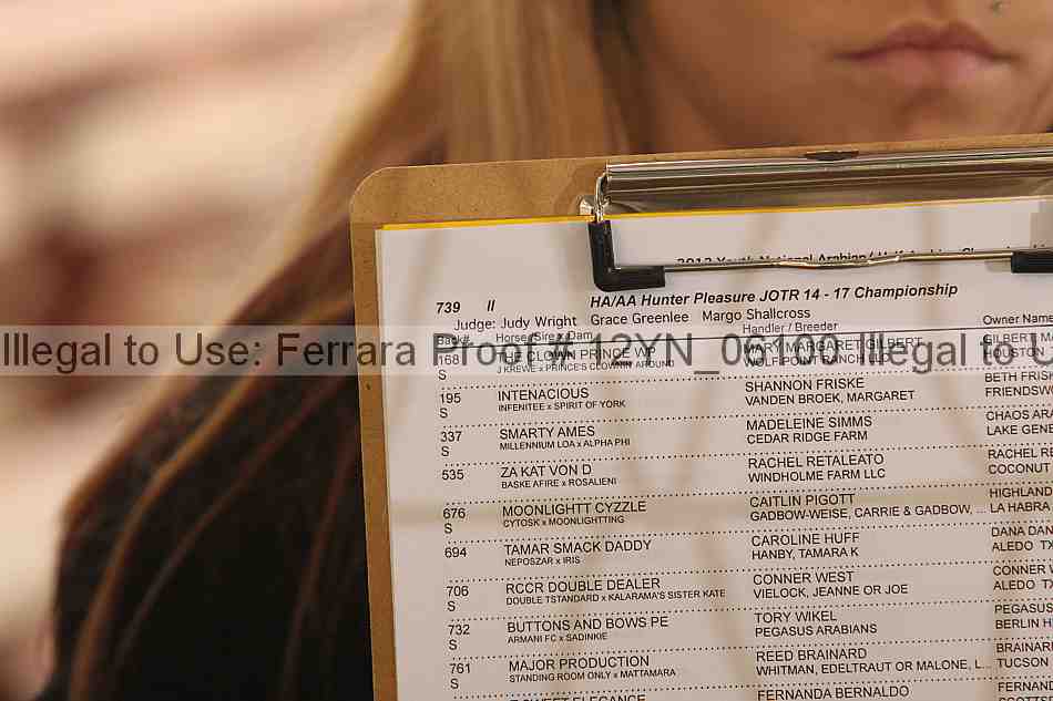 Proof 12yn_06100
