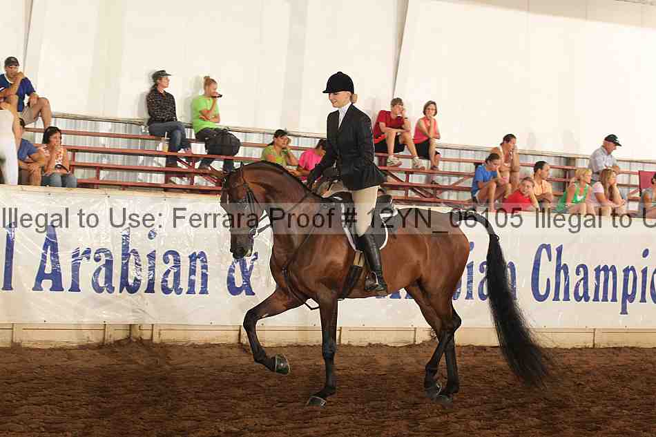 Proof 12yn_06105