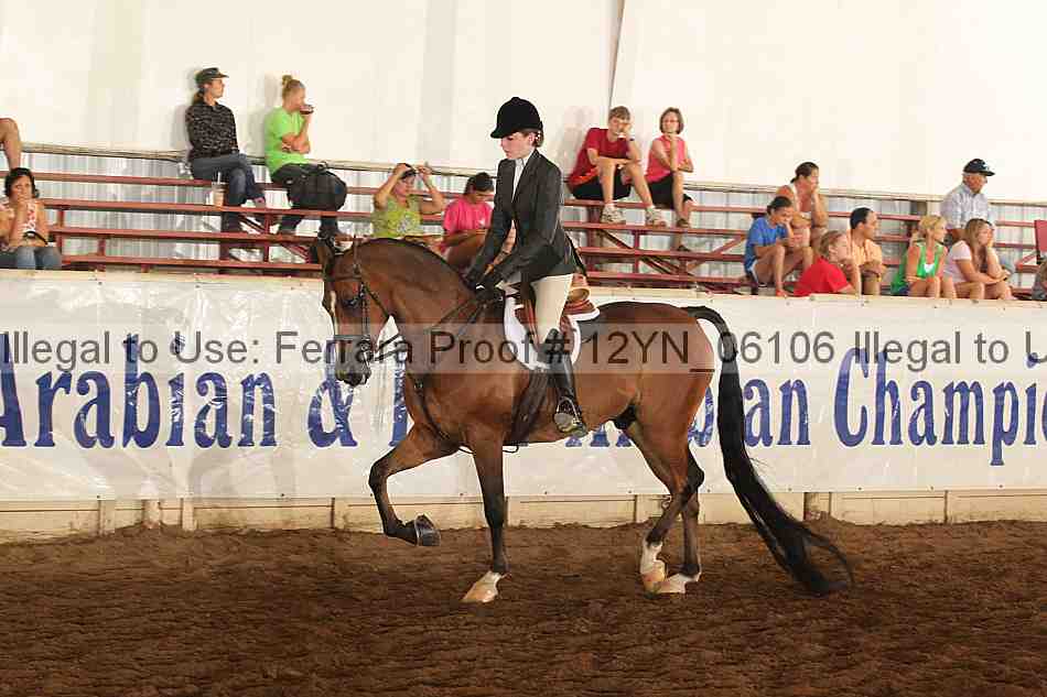 Proof 12yn_06106