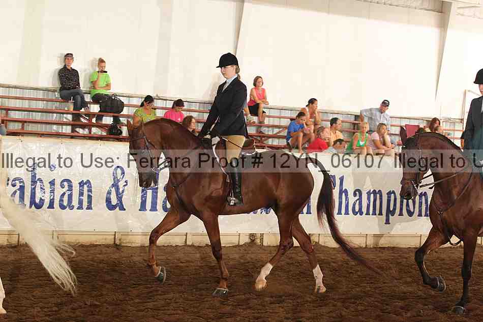 Proof 12yn_06107