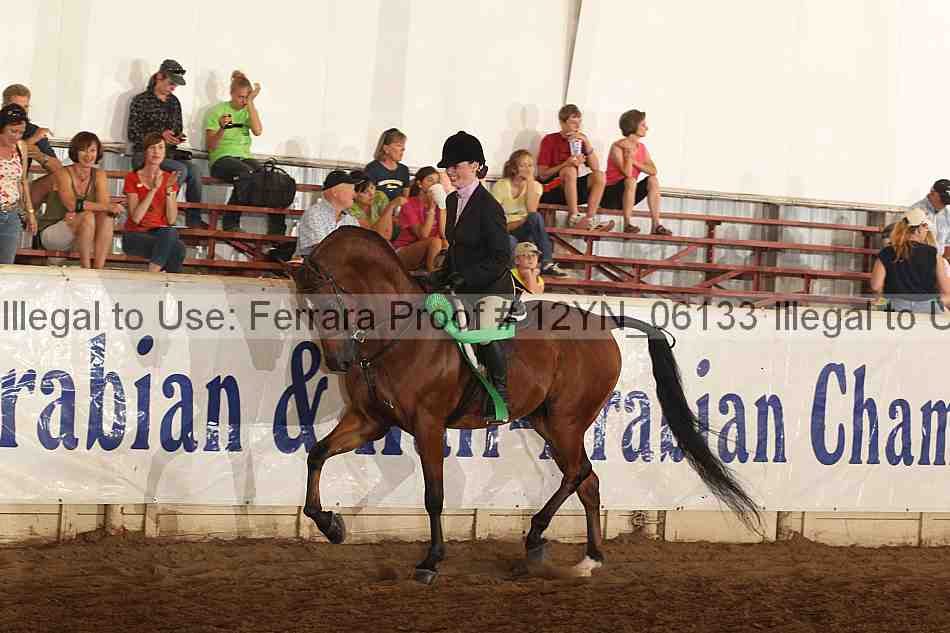 Proof 12yn_06133