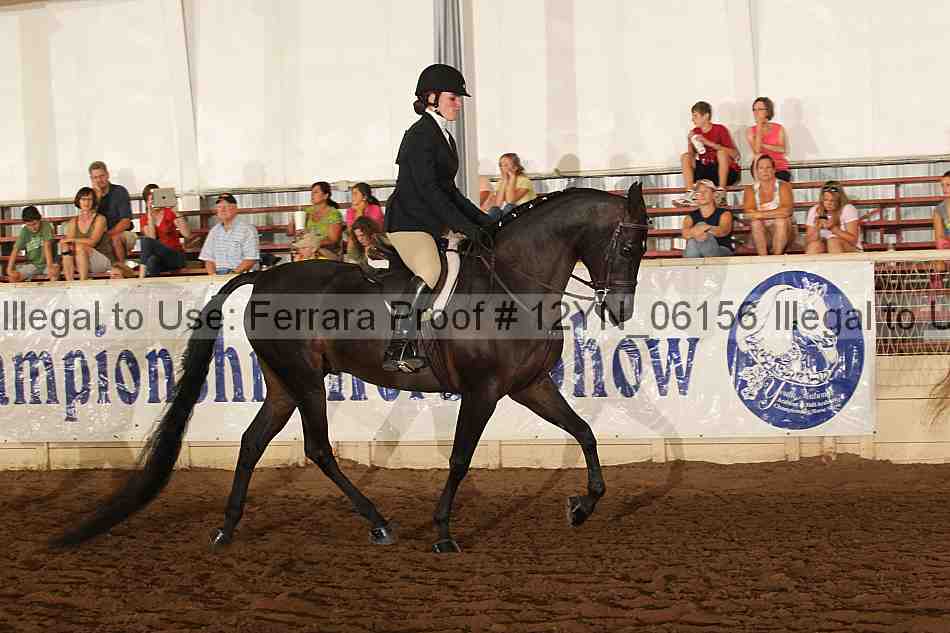Proof 12yn_06156